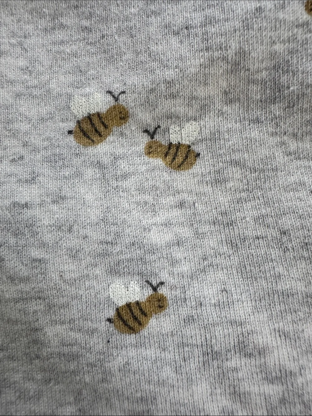 Little planet set of 2 Onsies honey bees  12 m & 24 m baby toddler organic NEW